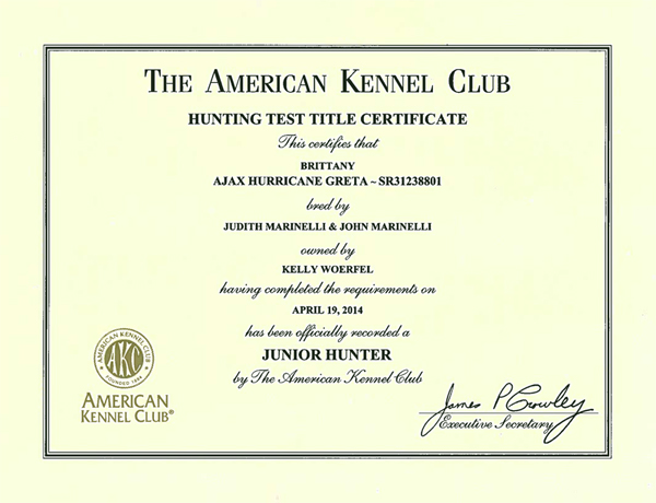 Greta's Junior Hunter