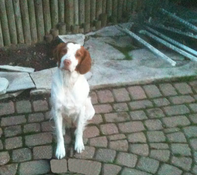 Greta sitting pretty