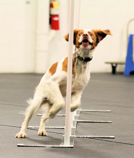 Ticket in agility